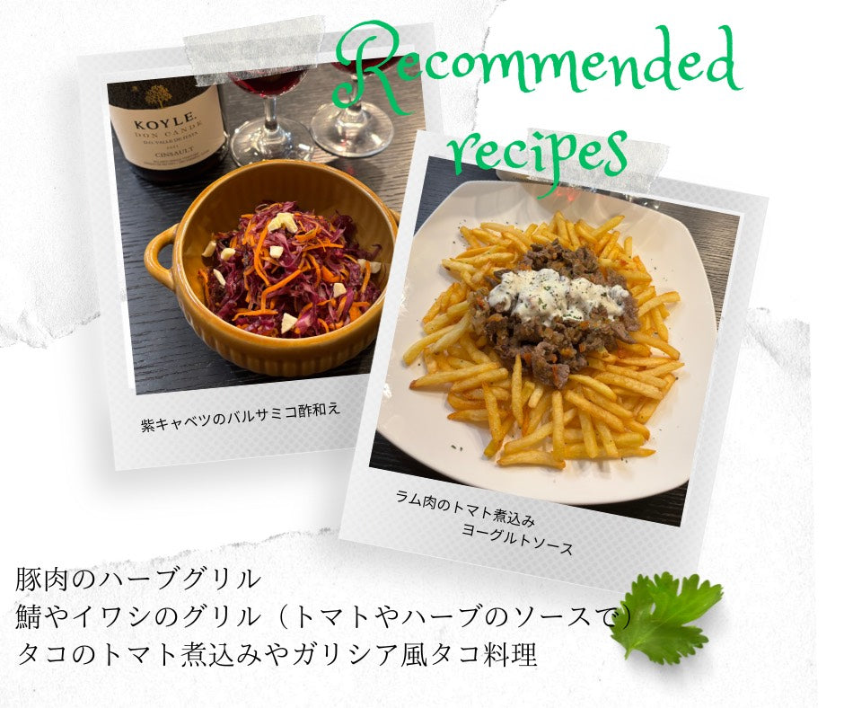 Koyle Don Cande Cinsault ’21 / コイレ・ドン・カンデ・サンソー