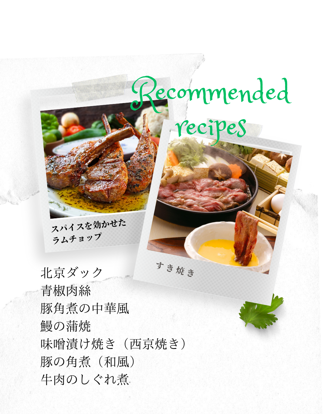 Koyle Cerro Basalto Cuartel G2 ’20 / コイレ・セロ・バサルト・クアルテル