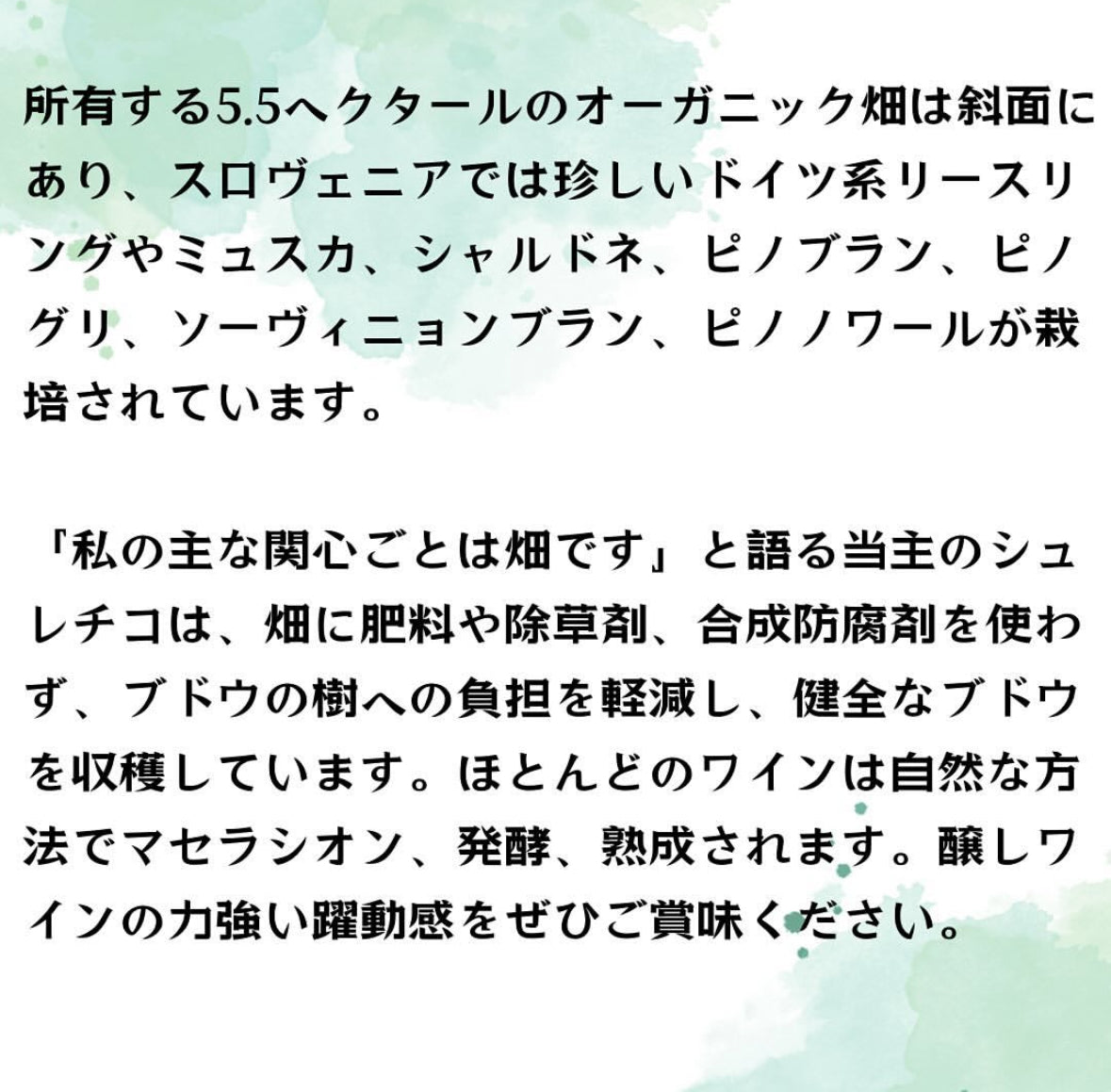 Sumenjak Chardonnay シュメニャック シャルドネ 2020 【オレンジ 】