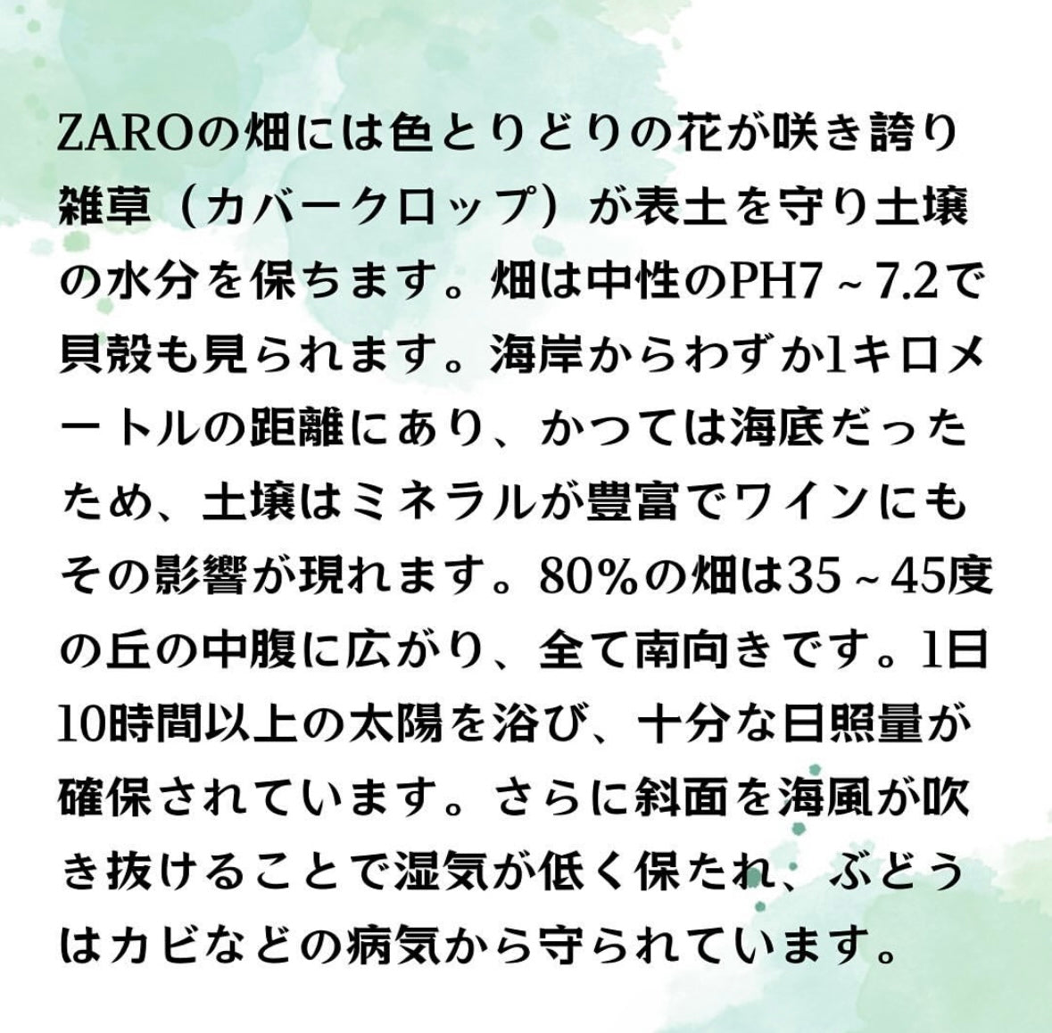 ZARO Negratenera ザロ ネグラテネラ (泡) 2022 【白】