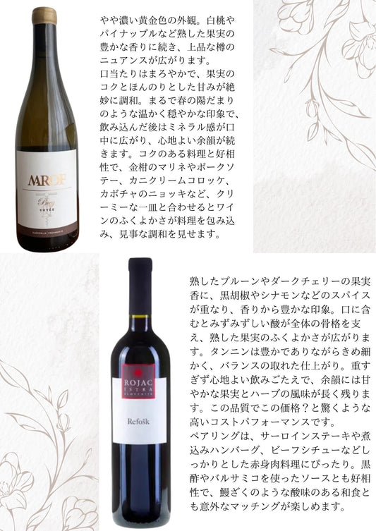【杉本様専用】  白＆赤ワイン２本セット