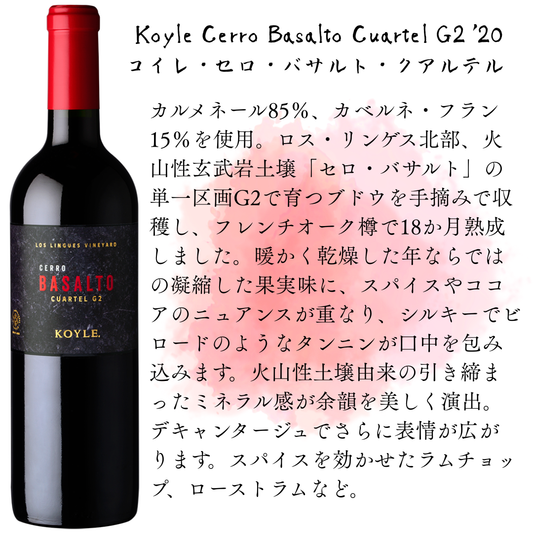 Koyle Cerro Basalto Cuartel G2 ’20 / コイレ・セロ・バサルト・クアルテル